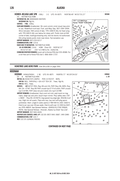 HOMER-BELUGA LAKE - Airport Diagram