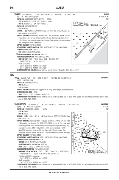 TOK JUNCTION - Airport Diagram