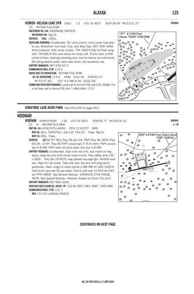 HOMER-BELUGA LAKE - Airport Diagram