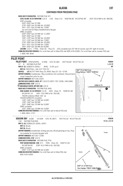 PILOT POINT - Airport Diagram